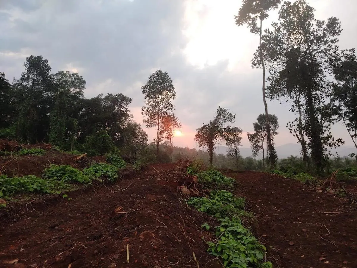 Vasudha Eco Homestay Paithalmala Ινδία