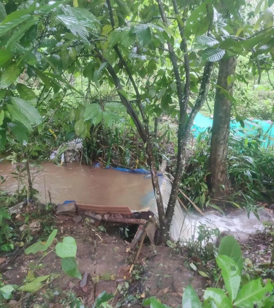 Σπίτι διακοπών Vasudha Eco Homestay Paithalmala